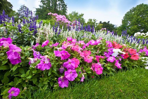 Beautiful bouquet of fresh flowers arranged elegantly