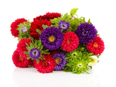 Beautiful fresh flowers arranged in a vibrant bouquet