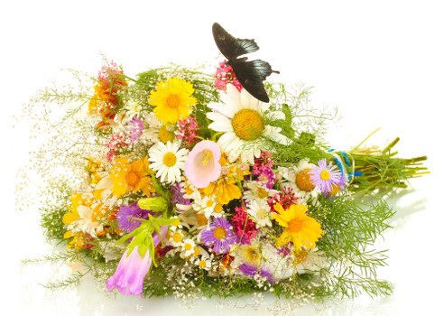 Assortment of fresh flowers offered by Greenford florists