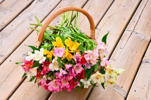 A vibrant bouquet of fresh flowers in a beautiful arrangement