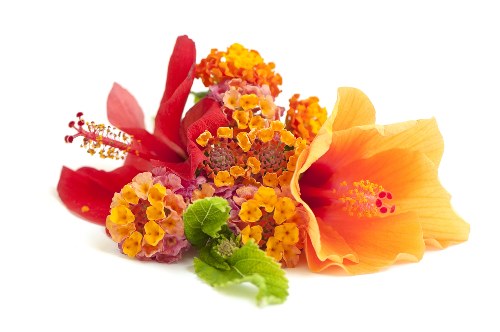 Florist arranging a colorful bouquet for a customer