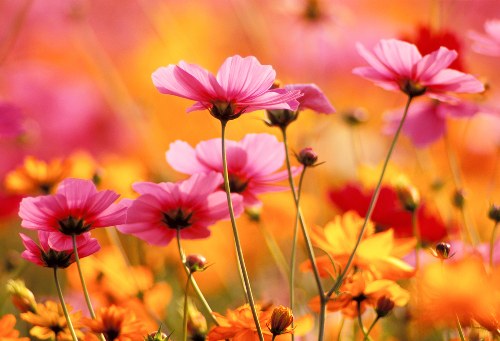 Beautifully arranged flowers ready for delivery