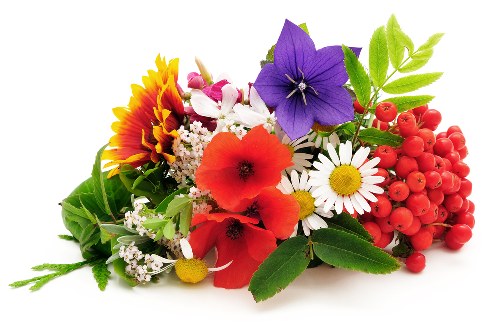 Assorted bouquet selection for various occasions