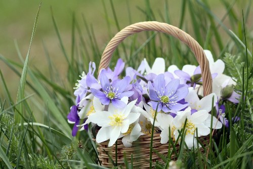 Same-day flower delivery services in Temple