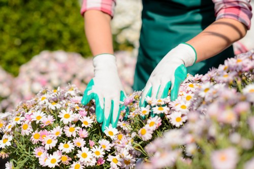 Variety of colorful flowers in a bouquet