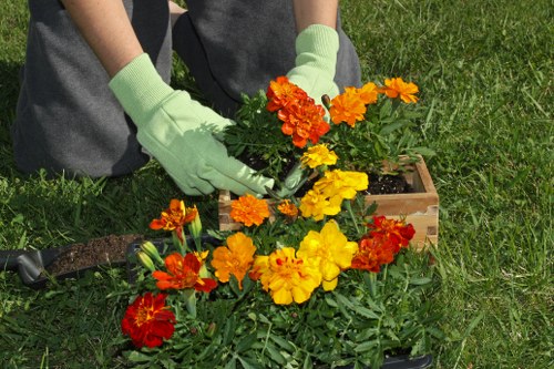 Beautiful bouquet arrangement