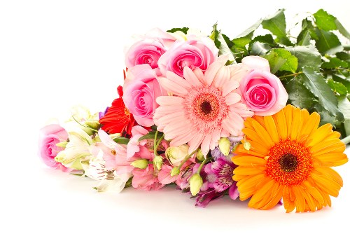 Fresh seasonal flowers arranged elegantly in a store