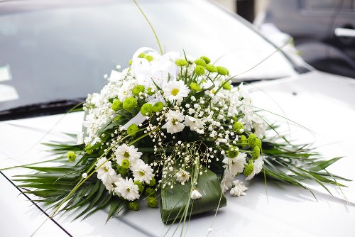 Variety of vibrant flowers arranged in a vase