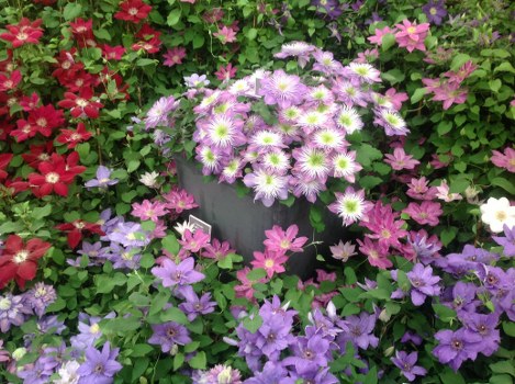 Beautiful flowers being prepared for delivery in Sudbury