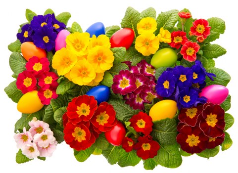 Local florist preparing a beautiful floral arrangement