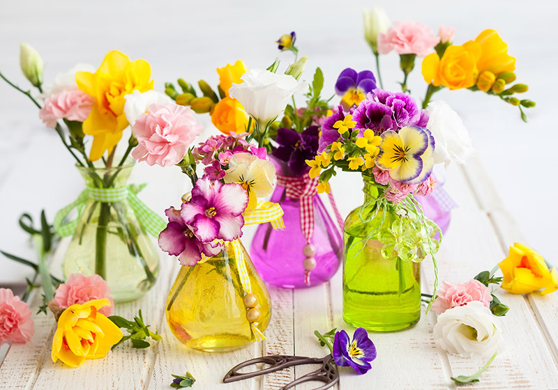 flowers flowers  / showy flowers